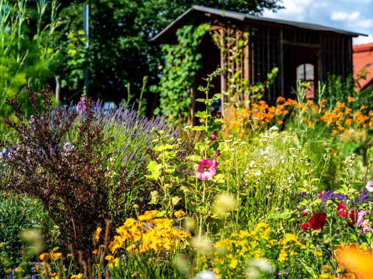 Landhotel Gut Wildberg Meissen Exterior photo