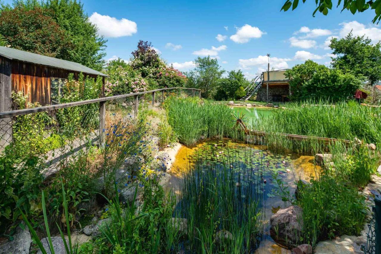Landhotel Gut Wildberg Meissen Exterior photo